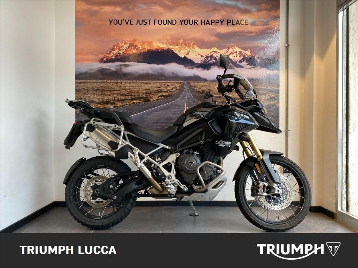 Annuncio Moto Triumph Tiger Rally Pro A Lucca Usato Dueruote