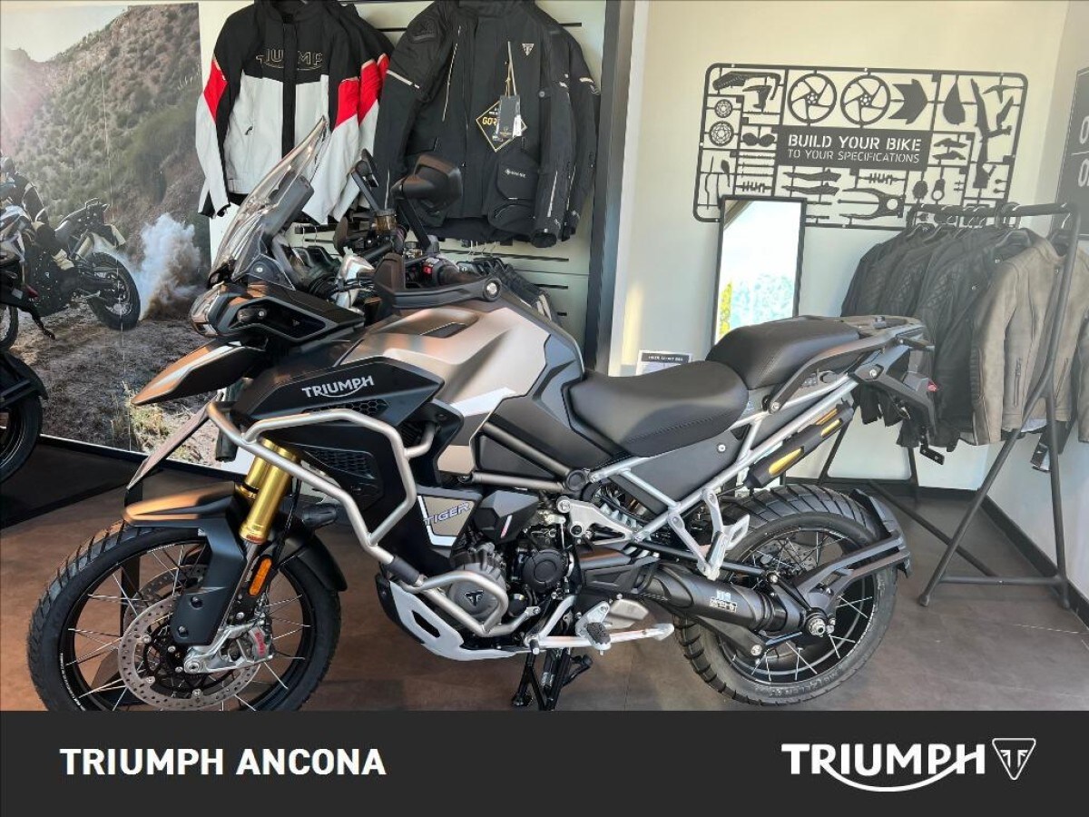 Annuncio Moto Triumph Tiger Rally Explorer A Ancona Usato Dueruote